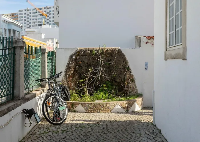 Le Penguin HostelHostel